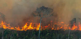 Fire line moves through a degraded forest area in an undesignated public forest area in Porto Velho, Rondônia on July 29, 2021. Photo © Christian Braga / Greenpeace